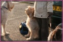 11-02-12 Thames Valley Show 155